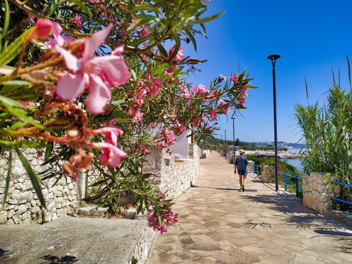 Willa Marina Di Andrano - Alisso, Casa Vista Mare Con Parcheggio Privato E Wifi Zewnętrze zdjęcie